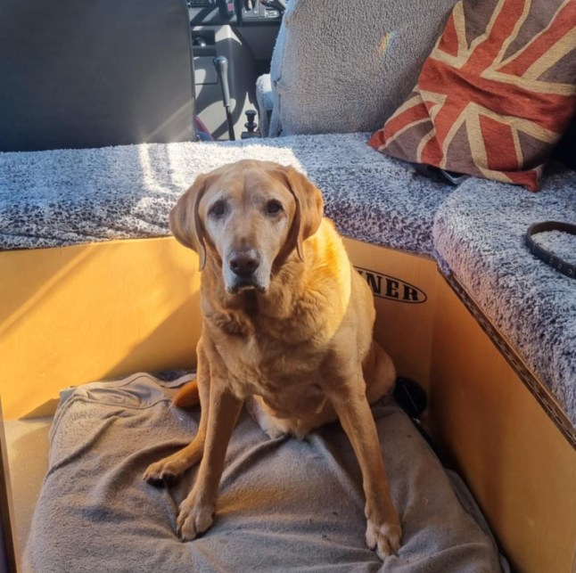Story from Jam Press (Frugal Van Life) Pictured: James' Labrador, Bruce. 'I sold my three-bed after painful break-up and moved into a VAN to live off-grid ? now I spend just ?250 on bills and love the simple life' A man has revealed how he sold his three-bed house after a painful break-up to move into a van ? now spending just ?250 a month on bills while travelling around Europe. When James Ruddick split with his other half, he had just ?2.67 in his bank account and was ?18,000 in debt. Looking around his three-bed house, where he had lived with his partner of 15 years, he decided it was time for a change. The Brit was also fed up with the UK?s cost of living crisis ? which saw him constantly paying bills and never having anything left over to enjoy his life. So he put his house on the market, sold all his belongings and moved into a van. ?I had a lovely three-bed house,? the 50-year-old from Carlisle told What's The Jam. ?It really was nice, but I thought, why am I paying all of this to be in a three-bed house with just a dog and not have any money left at the end of the month? ?About five years ago, a relationship ended that had lasted almost 15 years. ? That left me with ?2.67 in the bank and ?18,000 worth of debt. ?The house had to be sold, which paid off almost all of the debt, but not all of it. ?I bought several houses, renovated them and sold them but the work I was doing at the time went completely wrong. ?The whole thing fell apart. ?It was a combination of things that made me stop and reassess everything I was doing. ?All my wages were gone by the end of each month. ?I had a van for years that my ex and I used to go away [on long weekends]. ?It was a much simpler way of living and I found peace in that. ?So, I sold the house and took the plunge. ?I sold everything I had apart from a few personal items and set off on a journey in the van.? James purchased a 2008 Mercedes Vario for ?25,000 in late 2024. The vehicle was ready to move into, but James made later upgrades like adding more solar panels and installing a fridge-freezer. The 50-year-old has since immersed himself into nomadic life with his Labrador, Bruce. He is fully off-grid except for having a mobile phone with limited internet. The pair started their adventure across Wales and the south of England before James began volunteering at music festivals. The unpaid gigs allowed him to park up for free while enjoying meal vouchers and sometimes even free drinks. When the cold weather hit, he spotted an advert for a house and pet sitter in Portugal and jumped at the opportunity. From there, he made his way down the Spanish coastline to Tarifa, then up the coast to Valencia and Benidorm. James said: ?Bruce and I are completely off-grid, completely off the system, apart from a mobile phone with limited internet. ?You do feel like you?re on your own but the peace and freedom are amazing. ?I?m much happier now. ?Before selling, I went to a local council and told them I was really struggling. ?I explained that I was likely going to have to sell my house and asked about housing support ? but they couldn?t help. ?I had no doctor because I couldn?t find one, no dentist either and I started questioning what exactly I was paying into the system for. ?I was working hard but couldn?t even afford a holiday. ?It was all getting too much ? just seeing money coming in and out all the time with nothing to show for it. ?Since moving into my van, I?ve never looked back. ?To be able to travel at your own pace, in your own home, park wherever you like and enjoy better weather ? it is an incredible experience. ?It?s something I?ve wanted to do for a long, long time.? Incredibly, despite having no steady income, James says he manages to live on just ?250 a month. Previously, as a homeowner, his monthly bills were ?1,200 a month. The van lifer manages to live frugally by keeping food costs to a minimum ? only paying for road tax, MOT, insurance and a cheap phone plan. Now back in the UK, James says he has more festival work lined up until August. After that, he?s considering an adventure around Italy. He added: ?I?m incredibly lucky and fortunate to be able to do this. ?I wasn?t forced into it ? I could have rented a very small place and continued working a 9 to 5 job. ?But to me, that was just existing. ?I didn?t want restrictions. ?I didn?t want to just pay bills and sit at home alone. ?It doesn?t matter how much money you have ? when you?re sitting around a campfire having dinner, everyone is equal. ?You wake up and think, should we stay another day, drive somewhere new or find a different beach? ?I?m at peace now ? that?s the best way to describe it. ?I should have done this years ago.? ENDS