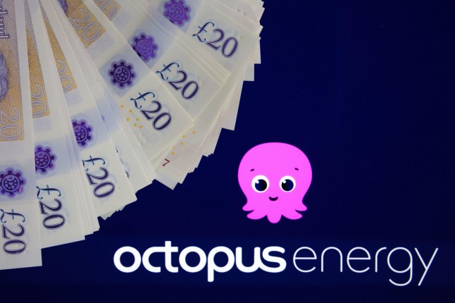 2HKRKF5 Electricity and gas suppliers OCTOPUS ENERGY logo seen on blurred background and energy saving bulb in front. United Kingdom, Stafford, December 18, 2022